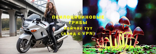 соль курить ск Белокуриха